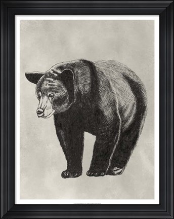 Framed Pen &amp; Ink Bear II Print