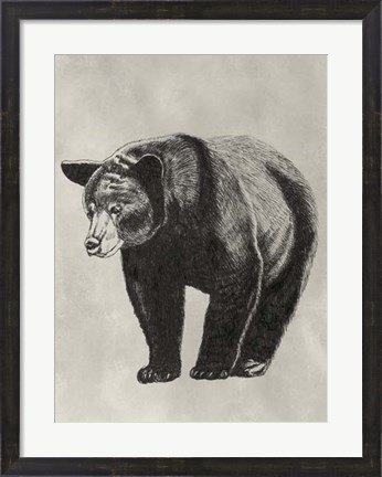 Framed Pen &amp; Ink Bear II Print