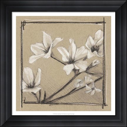 Framed White Floral Study I Print