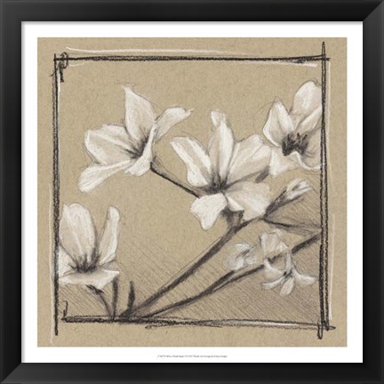 Framed White Floral Study I Print