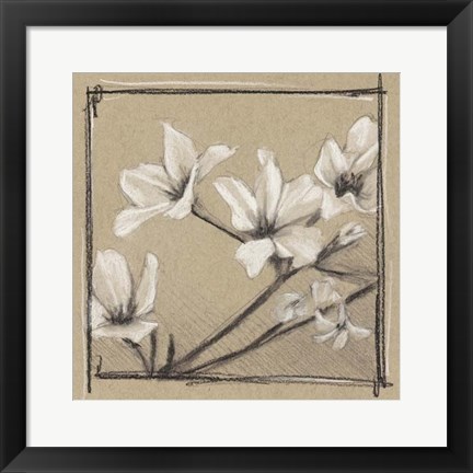 Framed White Floral Study I Print