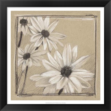 Framed White Floral Study II Print