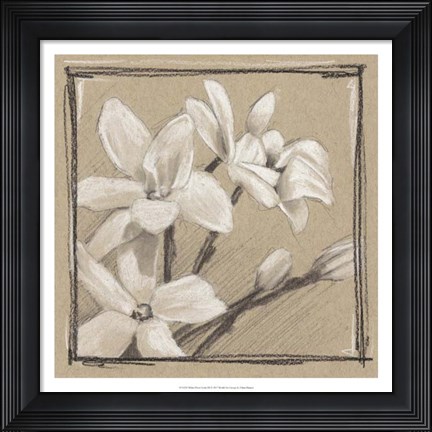 Framed White Floral Study III Print