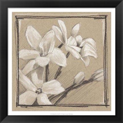 Framed White Floral Study III Print