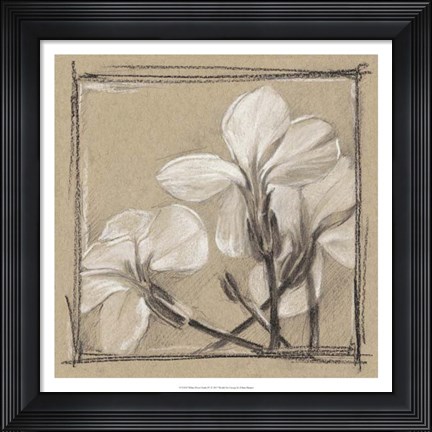 Framed White Floral Study IV Print