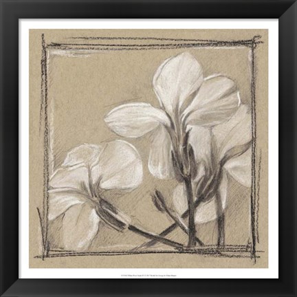 Framed White Floral Study IV Print