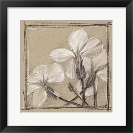 Framed White Floral Study IV Print