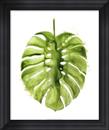 Framed Monstera I Print