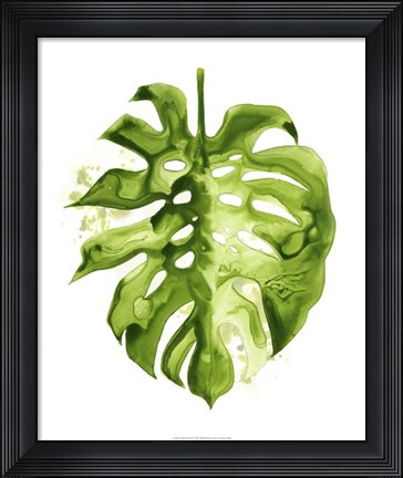 Framed Monstera II Print