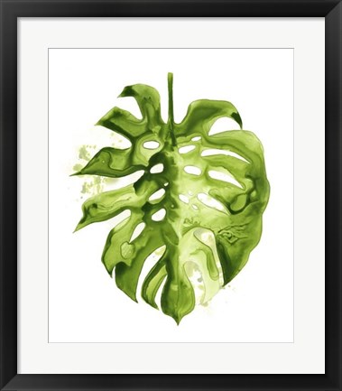 Framed Monstera II Print