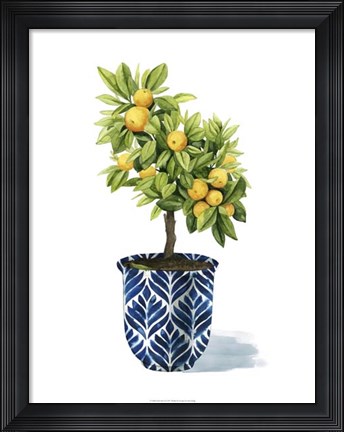 Framed Fruit Tree I Print