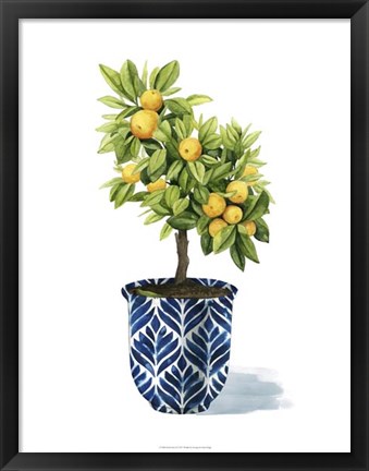 Framed Fruit Tree I Print