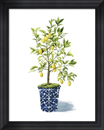 Framed Fruit Tree II Print