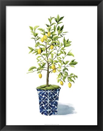 Framed Fruit Tree II Print