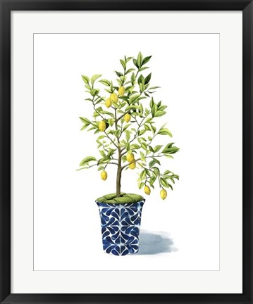 Framed Fruit Tree II Print