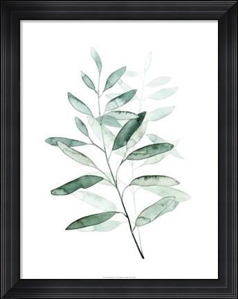 Framed Serene Reed I Print