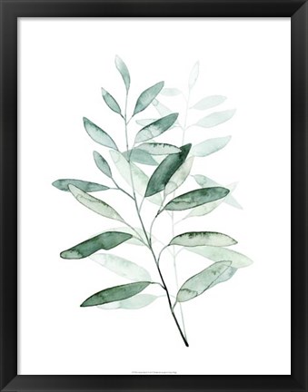Framed Serene Reed I Print