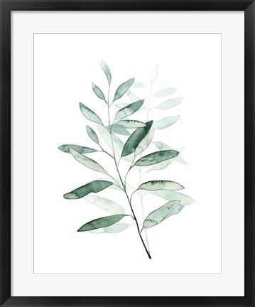 Framed Serene Reed I Print