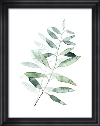 Framed Serene Reed II Print
