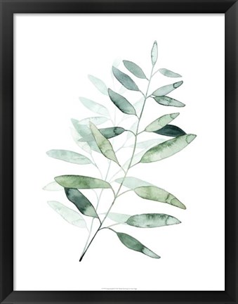 Framed Serene Reed II Print