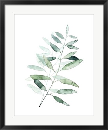 Framed Serene Reed II Print