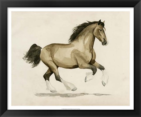 Framed Clydesdale I Print