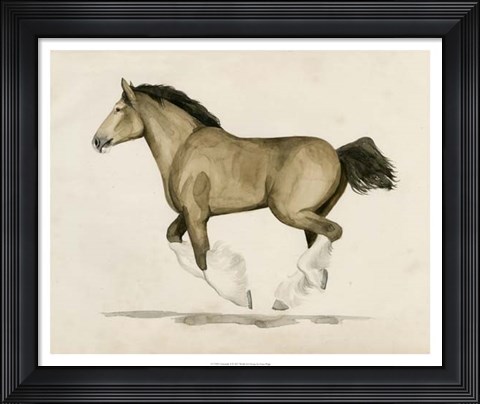 Framed Clydesdale II Print