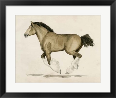 Framed Clydesdale II Print