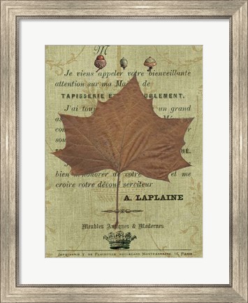 Framed Autumn Leaf II Print