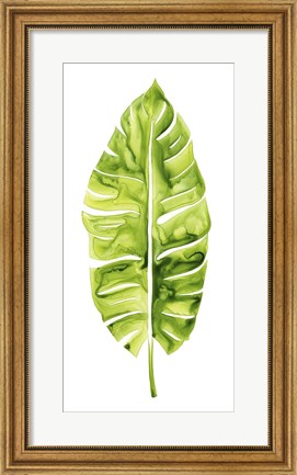 Framed Banana Leaf Study I Print