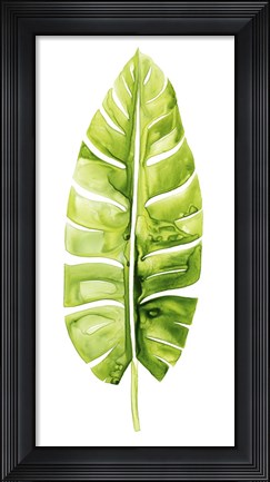 Framed Banana Leaf Study II Print