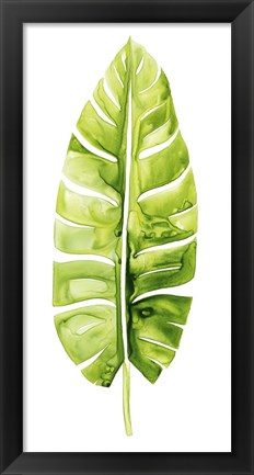 Framed Banana Leaf Study II Print