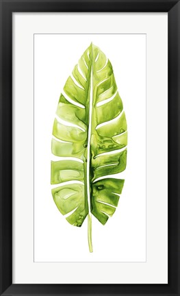 Framed Banana Leaf Study II Print