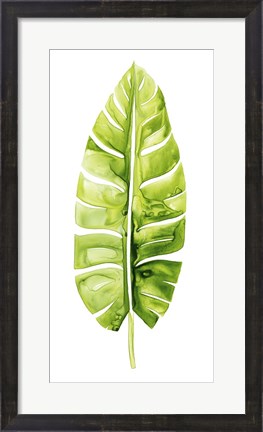 Framed Banana Leaf Study II Print
