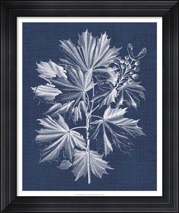 Framed Foliage Chintz V Print