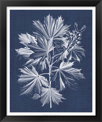 Framed Foliage Chintz V Print