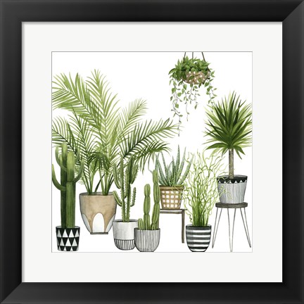 Framed Plant Haven II Print