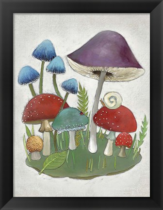 Framed Mushroom Collection II Print