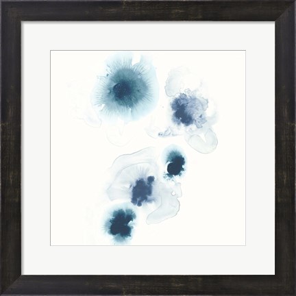 Framed Protea Blue I Print