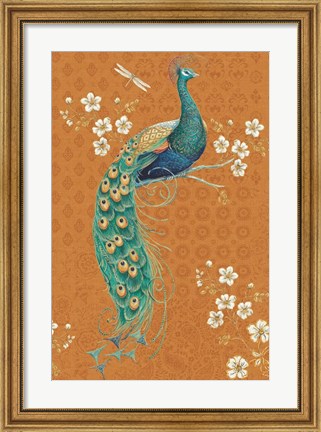 Framed Ornate Peacock IX Spice Print