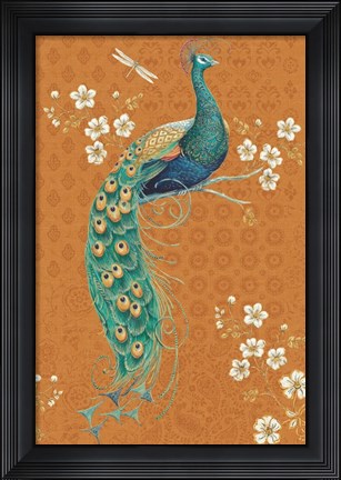 Framed Ornate Peacock IX Spice Print