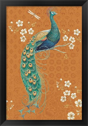 Framed Ornate Peacock IX Spice Print