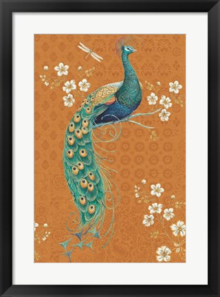 Framed Ornate Peacock IX Spice Print