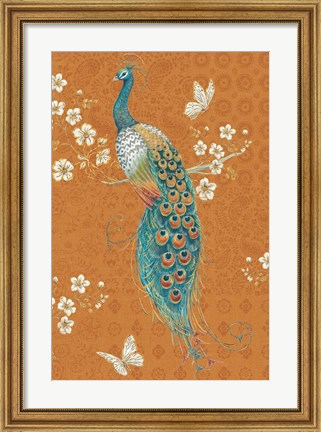 Framed Ornate Peacock X Spice Print