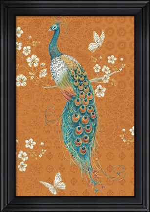 Framed Ornate Peacock X Spice Print