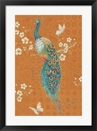 Framed Ornate Peacock X Spice Print