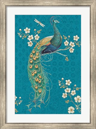 Framed Ornate Peacock IXE Print