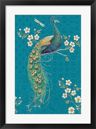 Framed Ornate Peacock IXE Print