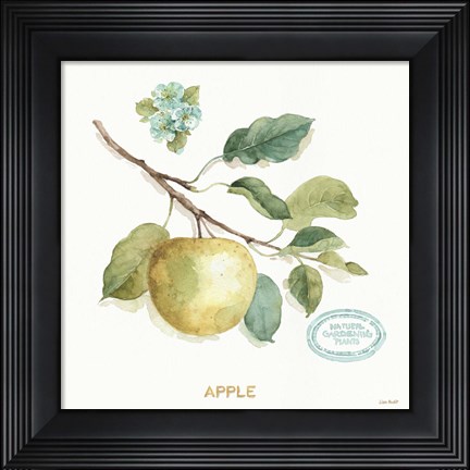 Framed My Greenhouse Fruit IV Print
