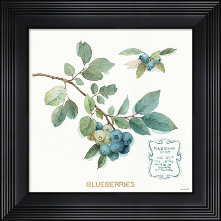 Framed My Greenhouse Fruit II Print